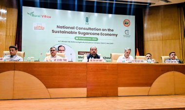 National consultation on sugarcane suggests developing new varieties and machines for small farmers