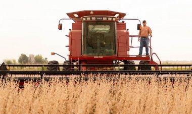 U.S. Pledges Major Support for Soybean Farmers as China Boycott Deepens Trade Crisis