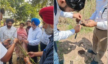 Floods Alter Punjab’s Soil Profile, Pose Threat to Rabi Crop Yields: PAU Study