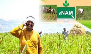 e-NAM Platform Expanded: Nine New Commodities Added to Boost Digital Agri-Trade