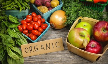 Irregularities in Organic Certification! Penalty of ₹10 Lakh Imposed on Uttarakhand Agency