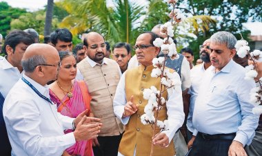 When Scientists Came to the Fields: A Quiet Revolution in Agriculture