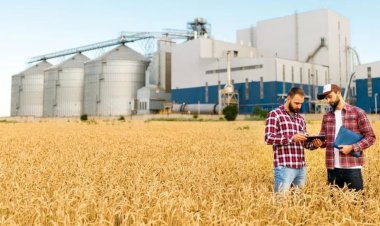 U.S. Farm Sector Faces Mounting Trade Deficit and Data Blackout Amid Renewed Strains with China