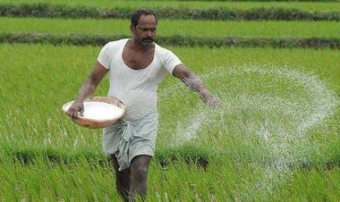 Government Approves ₹37,952 Crore Fertiliser Subsidy for Rabi 2025-26