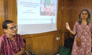 Activists Allege ICAR and Agriculture Ministry of Rigging Results to Promote Genome-Edited Rice Varieties