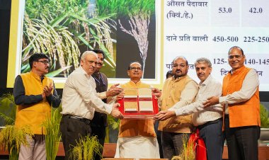 ICAR Rejects Allegations of Rigging Gene-Edited Rice Trials, Calls Claims Baseless and Motivated