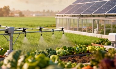 HortiRoad2India Charts Blueprint to Transform Indian Agriculture Through Indo-Dutch Collaboration