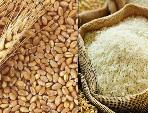 Govt releases 2nd Advance Estimates for 2025-26; Rice, Wheat & Maize Production at Record levels