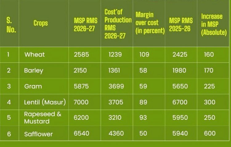 Cabinet Approves MSP Hike for Rabi Crops; Wheat Up by ₹160, Mustard by ₹250