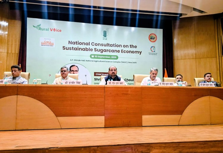 National consultation on sugarcane suggests developing new varieties and machines for small farmers