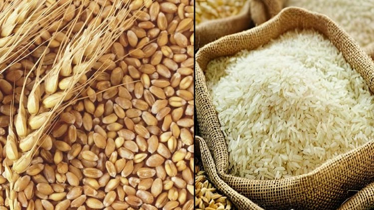 Global Food Prices Ease in September as Cereal Supplies Improve: FAO