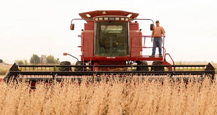 U.S. Pledges Major Support for Soybean Farmers as China Boycott Deepens Trade Crisis