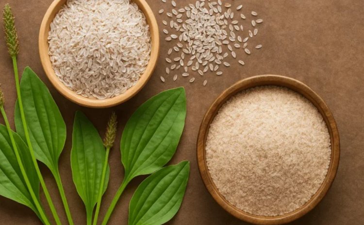 Isabgol Industry Warns of Procurement Halt from October 6 Amid GST Uncertainty; Export Concerns Deepen