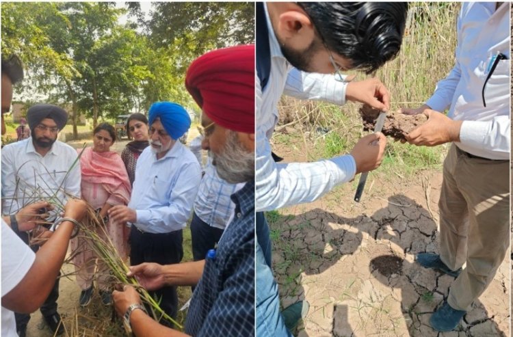 Floods Alter Punjab’s Soil Profile, Pose Threat to Rabi Crop Yields: PAU Study