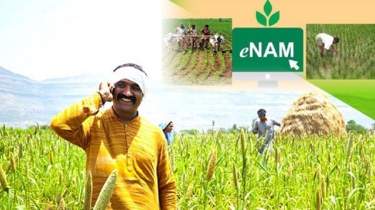 e-NAM Platform Expanded: Nine New Commodities Added to Boost Digital Agri-Trade