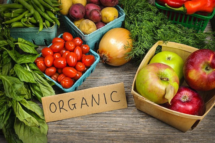 Irregularities in Organic Certification! Penalty of ₹10 Lakh Imposed on Uttarakhand Agency