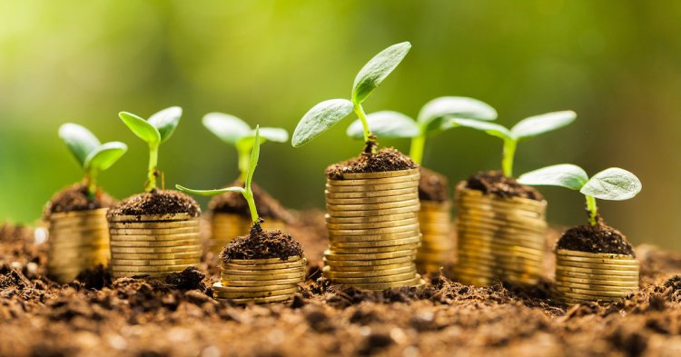 91% of Microfinance Loans Driving Livelihood Growth, Says Sa-Dhan Bharat Microfinance Report 2025