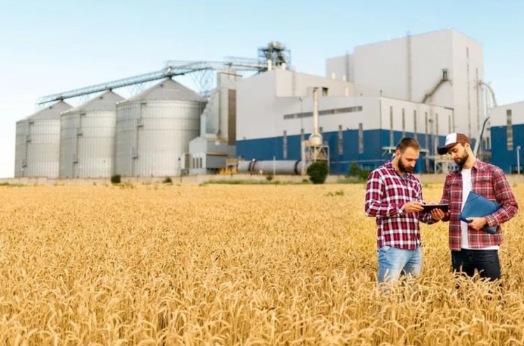 U.S. Farm Sector Faces Mounting Trade Deficit and Data Blackout Amid Renewed Strains with China