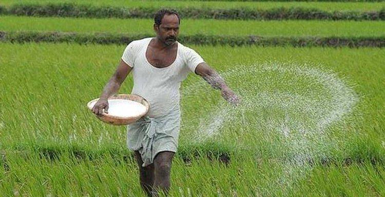 Government Approves ₹37,952 Crore Fertiliser Subsidy for Rabi 2025-26