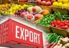West Asia Conflict Puts $11.8 Billion of India’s Agricultural Exports at Risk