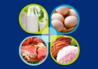 Livestock Sector Reports Robust Growth; Jump in Milk, Meat and Egg Production