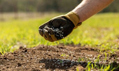 Satyukt Analytics Secures Patent for Satellite-Based Soil Nitrogen Estimation Method