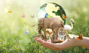 Historic UN Body Formed to Elevate Indigenous Role in Global Biodiversity Governance