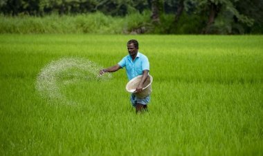Urea Shortage Likely as Consumption Set to Cross 40 Million Tonnes This Year