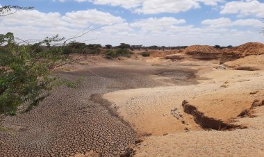 1.7 Billion People Face Falling Crop Yields Due to Land Degradation, FAO Report