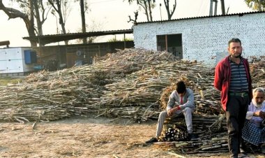 Govt Clarifies: Monthly Stock Limit Not Applicable To Khandsari Sugar Units