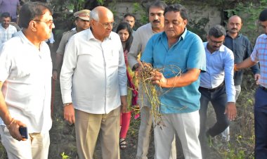 Gujarat Govt Announces Rs 10,000 Crore Compensation Package for Farmers Hit by Unseasonal Rain
