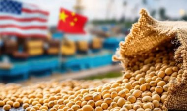 Bangladesh to Import $1.25 Billion Worth of US Soy to Strengthen Food and Feed Security