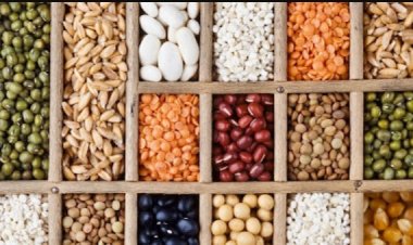 World Bank Sees Commodity Slide Deepening in 2026; Relief for India’s Inflation, Risks for Farmers