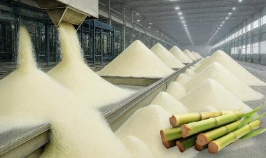 India Allocates 15 Lakh Tonnes Sugar Export Quota for 2025–26; Issues Modalities for Mills