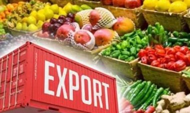 India May Gain a Small Edge as U.S. Exempts Agricultural Products from Reciprocal Tariffs