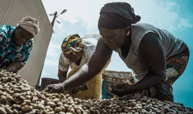 African Development Bank approves $310 million financial package for MSMEs, women entrepreneurs and agribusinesses in South Africa