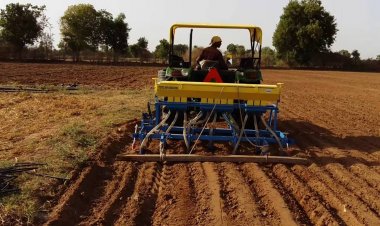 Rabi Sowing Crosses 306 Lakh Hectares; Wheat and Pulses Register Strong Gains