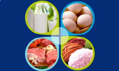 Livestock Sector Reports Robust Growth; Jump in Milk, Meat and Egg Production