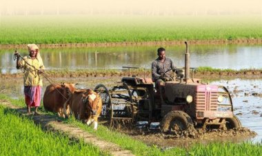 Agriculture Lags as India’s Q2 Growth Hits 8.2 percent