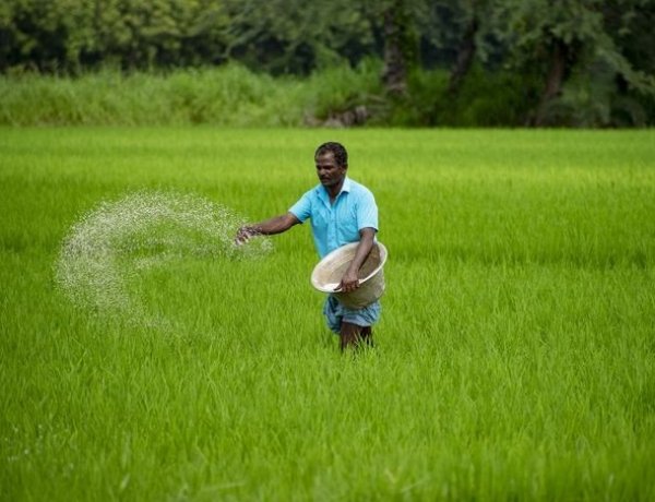 Most Indian Urea Plants Operating at 60pc Capacity; Global Prices Surge to $600/tonne