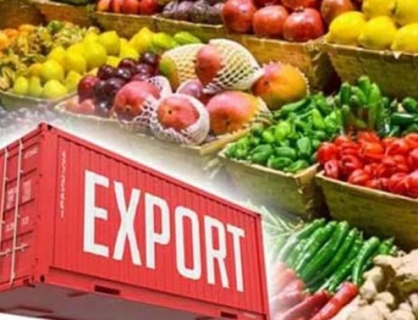 West Asia Conflict Puts $11.8 Billion of India’s Agricultural Exports at Risk