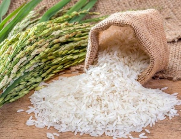 Iran Conflict Disrupts India’s Basmati Rice Exports as Middle East Accounts for 70% of Shipments