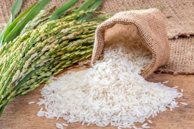 India’s Basmati rice exports disrupted due to Iran conflict, 70% of shipments from Middle East