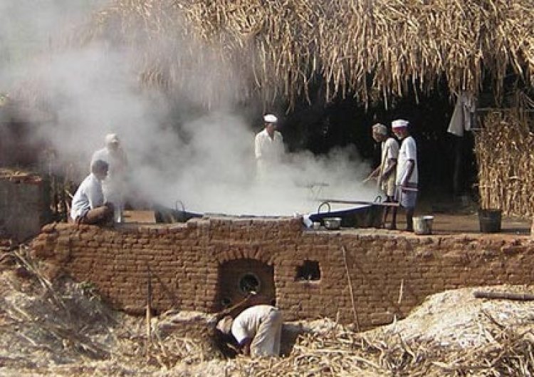 Maharashtra moves to regulate jaggery sector; producers split between welcome and worry