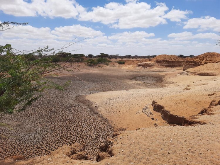 1.7 Billion People Face Falling Crop Yields Due to Land Degradation, FAO Report