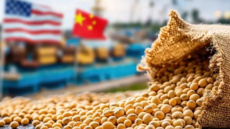 Bangladesh to Import $1.25 Billion Worth of US Soy to Strengthen Food and Feed Security