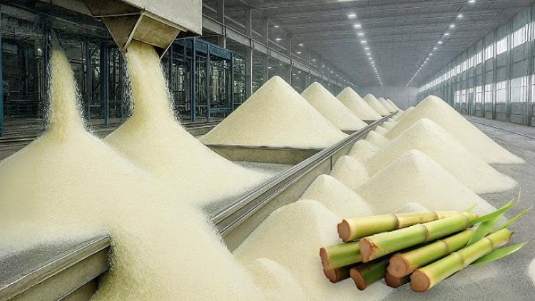 India Allocates 15 Lakh Tonnes Sugar Export Quota for 2025–26; Issues Modalities for Mills