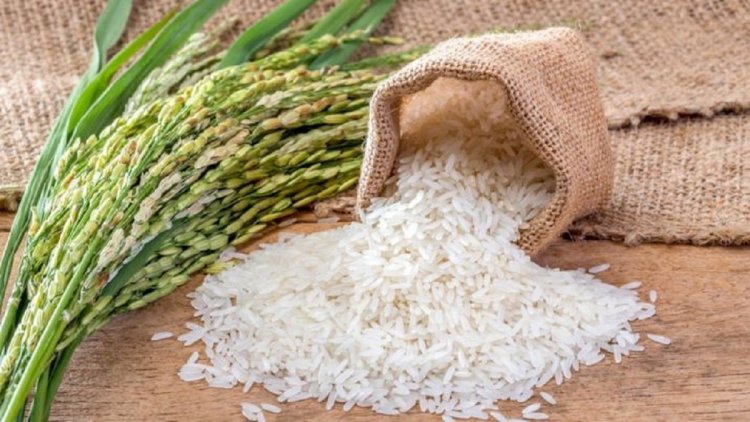 NZ, Kenya Courts Reject India’s Plea for Exclusive Basmati Rights Under TRIPS