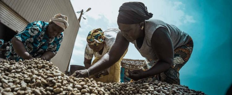 African Development Bank approves $310 million financial package for MSMEs, women entrepreneurs and agribusinesses in South Africa