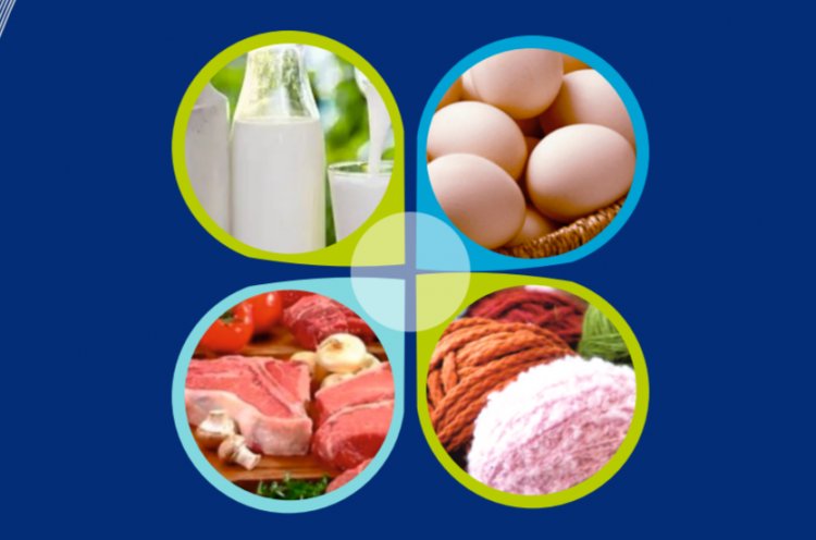 Livestock Sector Reports Robust Growth; Jump in Milk, Meat and Egg Production